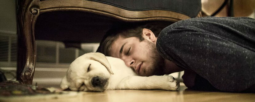 Slapen met jouw hond of kat, is dat OK? topic icon